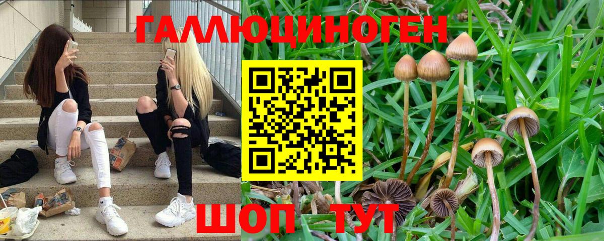 Галлюциногенные грибы ЛСД Рузаевка